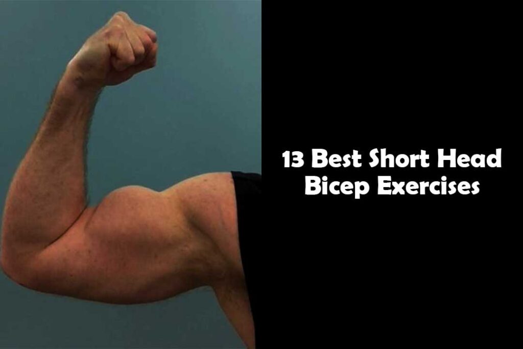 13 Best Short Head Bicep Exercises