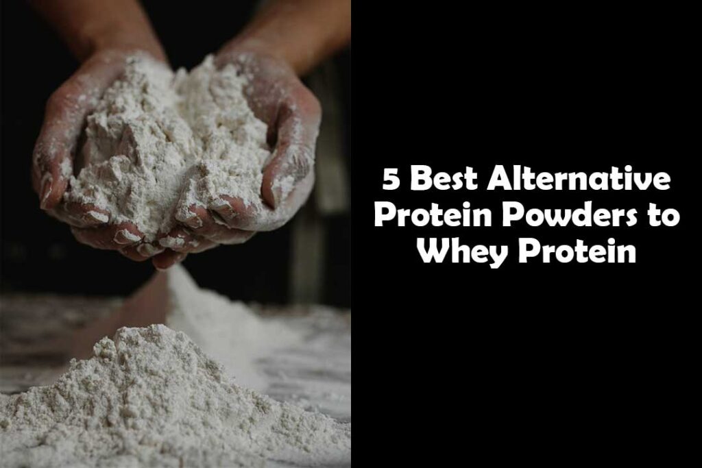 5 Best Alternative Protein Powders to Whey Protein