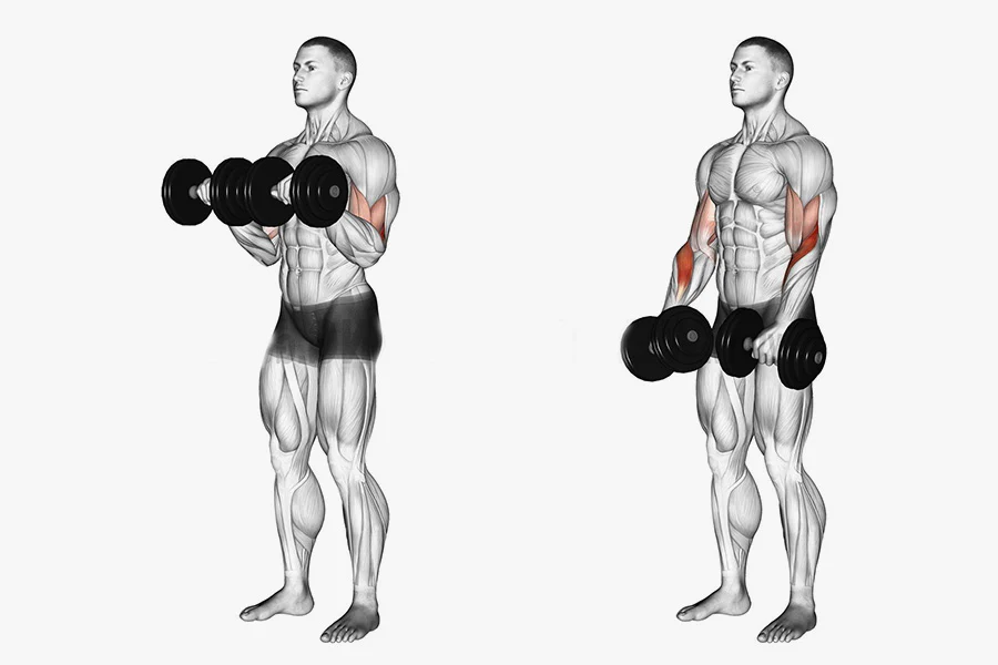 22 Long Head Biceps Exercises | Barbell | Dumbbell | Cable - Yes Strength