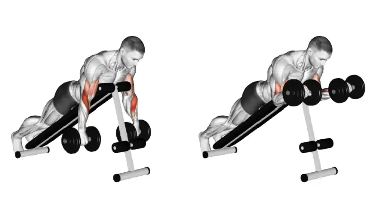 Dumbbell Reverse Spider Curl long head biceps exercises
