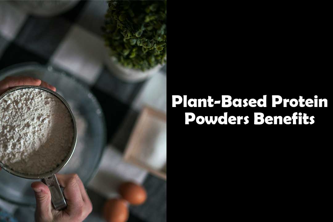 6 Amazing Plant-Based Protein Powders Benefits | Types - Yes Strength