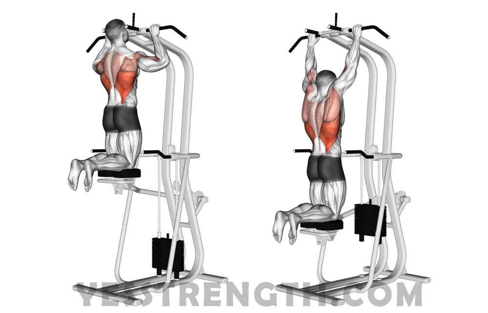 Assisted Pull-Ups