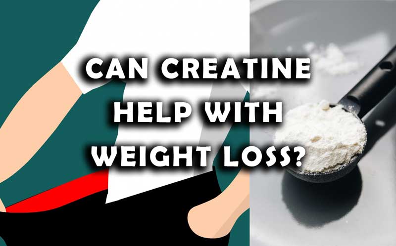 Can Creatine Help with Weight Loss?