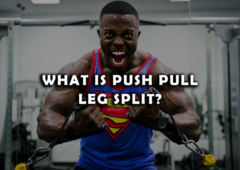 What is Push Pull Leg split