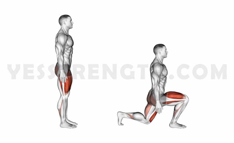 Lunges Leg Exercises at Home for Beginners