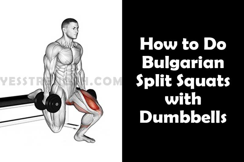 How to Do Bulgarian Split Squats with Dumbbells