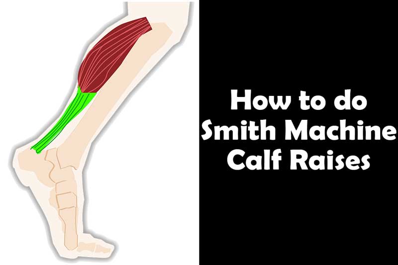 How to do Smith Machine Calf Raises
