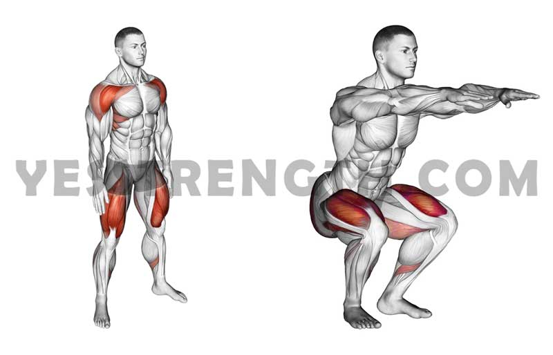 squats Leg Exercises at Home for Beginners