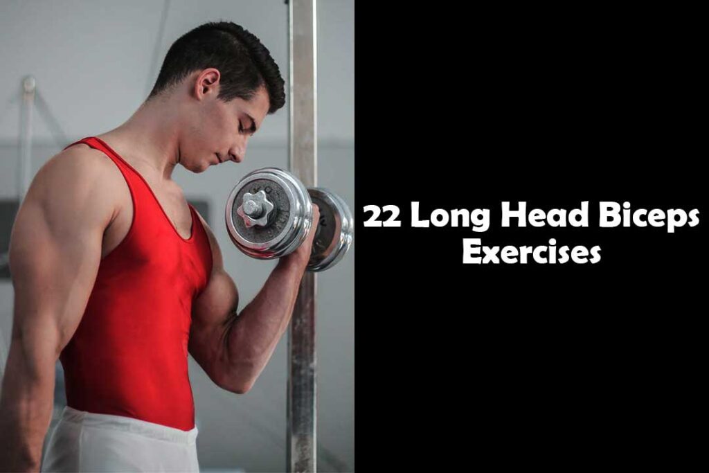 Long Head Biceps Exercises